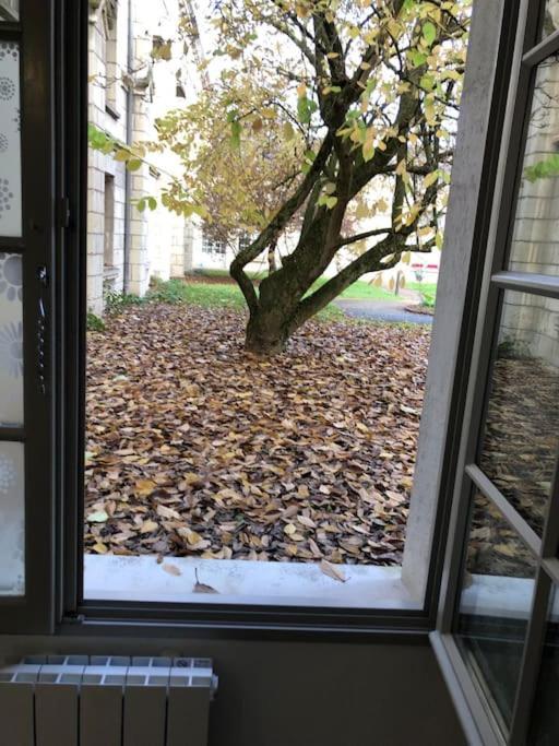 Superbe Appartement Saumur Εξωτερικό φωτογραφία